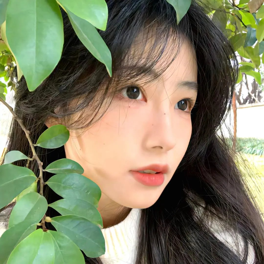 权杖
